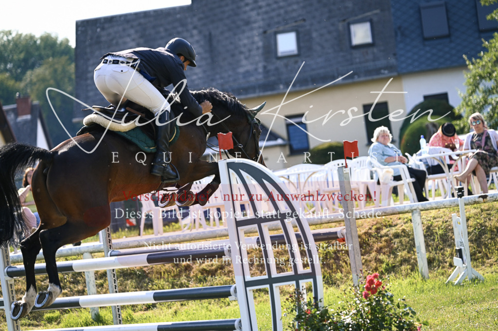 DSC_1421 | Pferde- und Turnierfotografie in Westsachsen. Pferdeportraits, Auftragszeichnungen und intuitive Kunst.