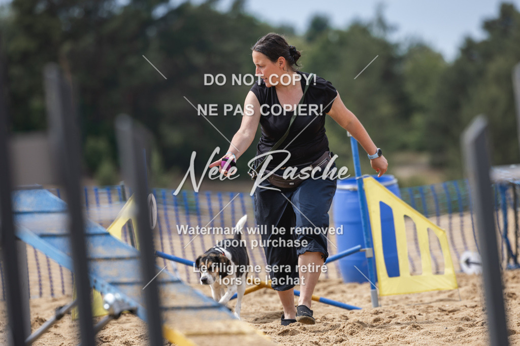nelerasche_BuHu2026_So1530-Ende_26 | nelerasche