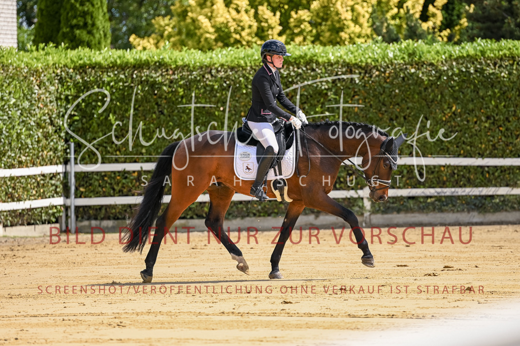 Schugtsche-Aluta25-48.Reitpferfdeprf.-54 | Schugtsche Fotografie - Realisiert mit Pictrs.com