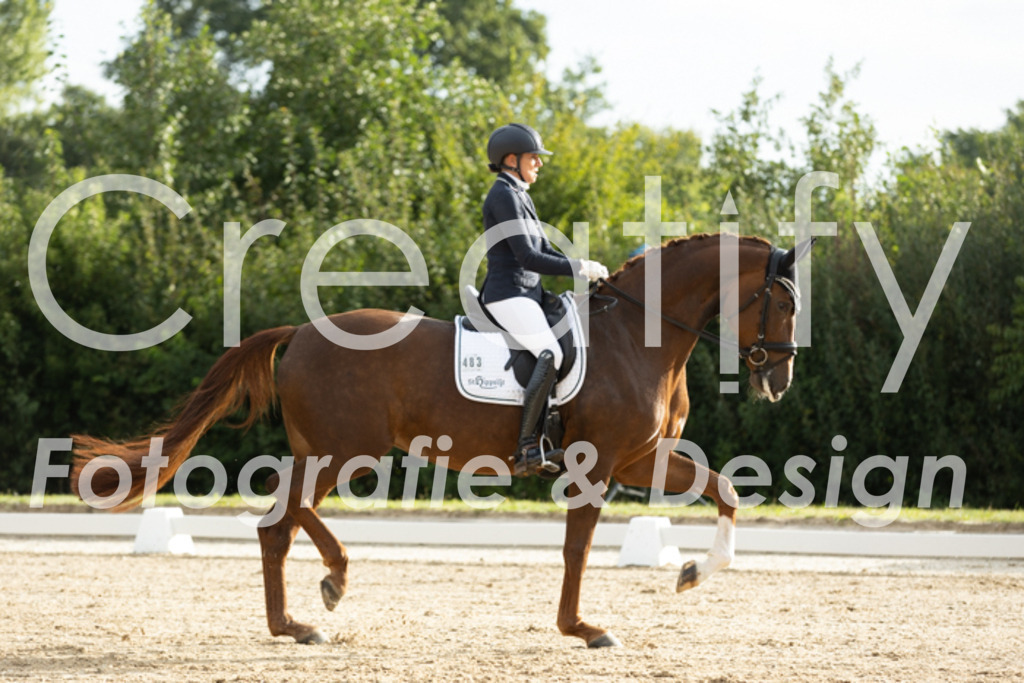 IMG_4146 | Creatify Fotografie