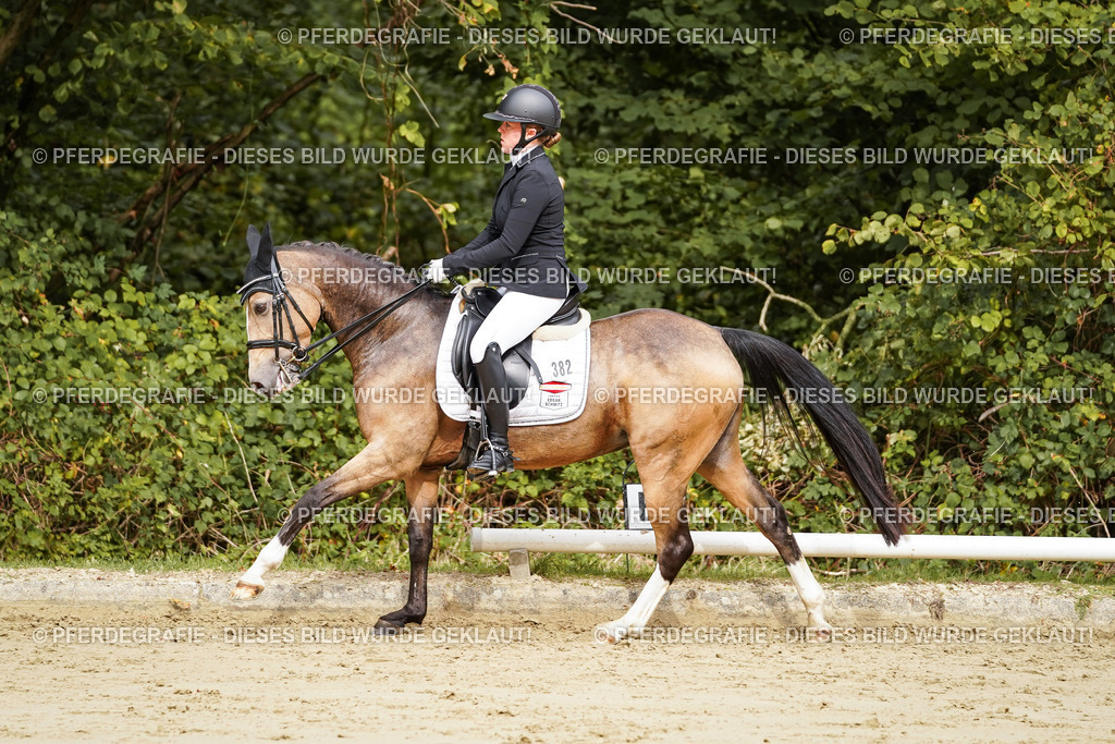 DSC02743 | Pferdegrafie