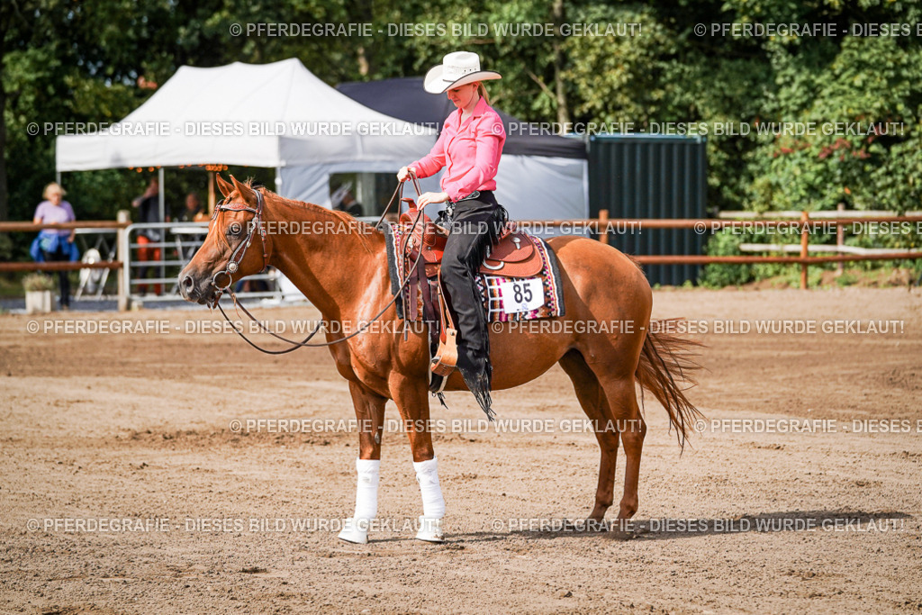 DSC09494 | Pferdegrafie