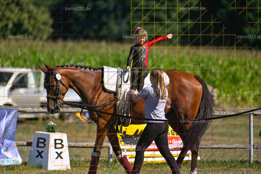 30 Jahre RFV Pulsnitz e.V., Pulsnitz am 09.08.2026 | 30Jahre Reit- und Fahrverein Pulsnitz e.V., Pulsnitz am 08.08.26, Zur 28. breitensportlichen Veranstaltung des RFV Pulsnitz e.V. fanden verschiedene Wettbewerbe in nahezu allen Disziplinen des Pferdesport statt.- Voltigier-Wettbewerb im Schritt - Realisiert mit Pictrs.com