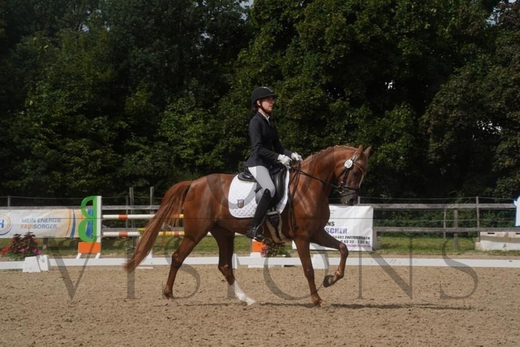 rveinoedsamstag (1049) | d.tail Visions - Shop - Realisiert mit Pictrs.com