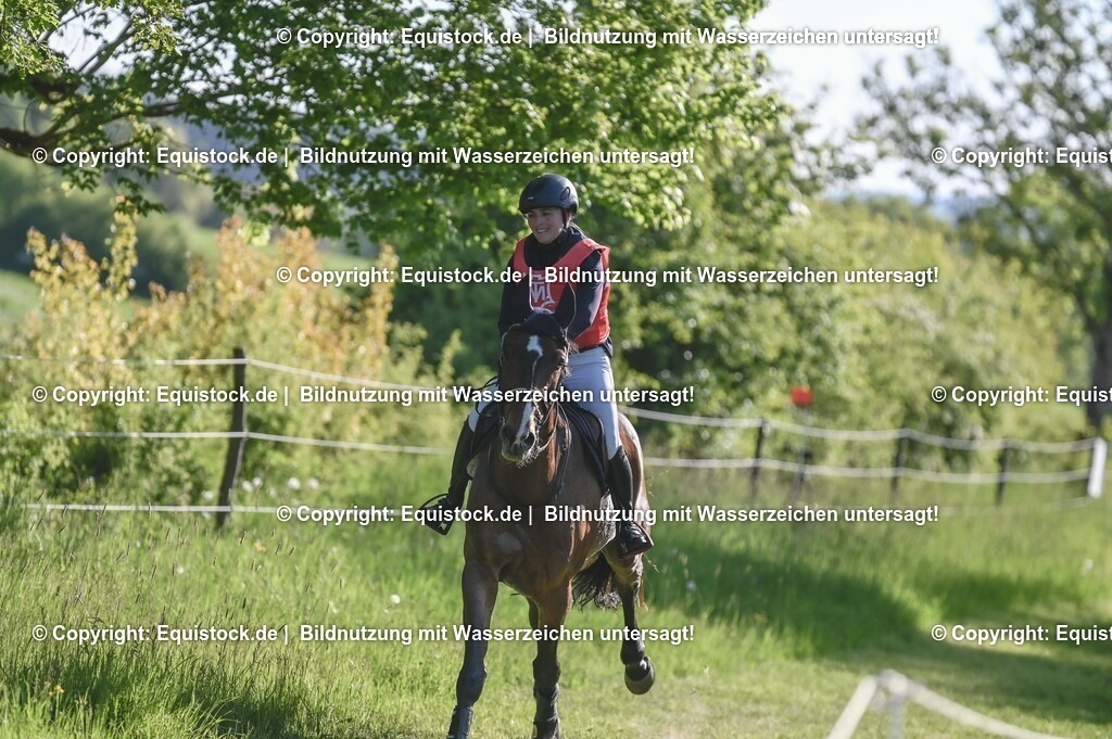 20250517_CCI2_Gelände_0182 | Foto: Thomas Hartig