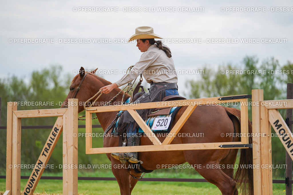 DSC07236 | Pferdegrafie