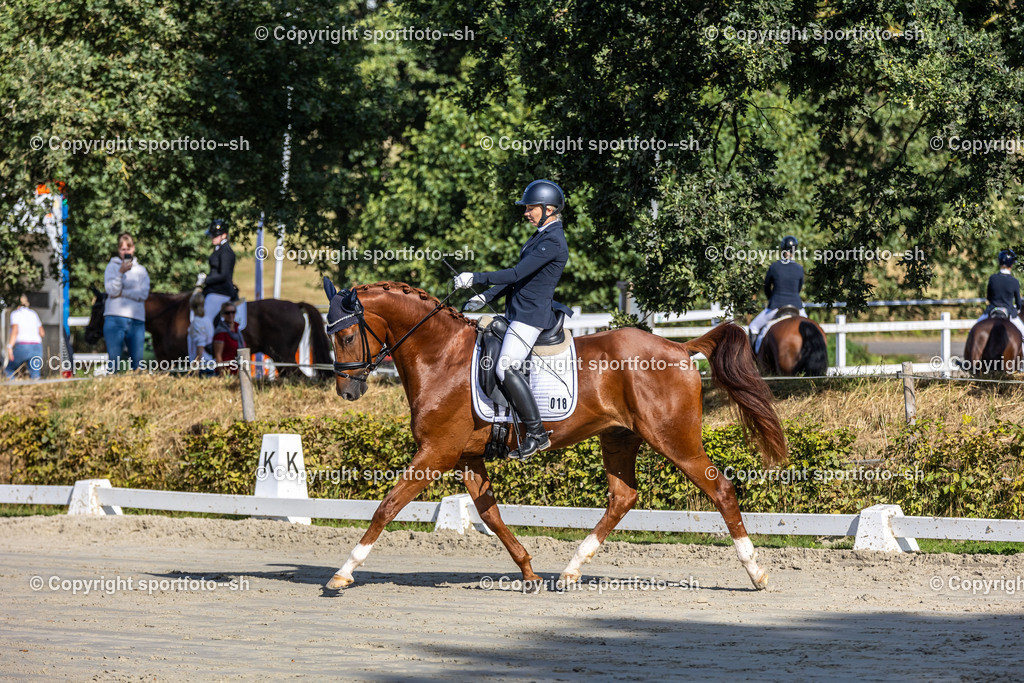 240901-VW-IS6A4808 | Sportfoto SH - Realisiert mit Pictrs.com