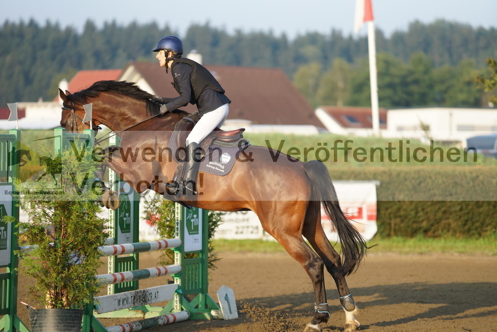 DSC02587 | equestrian-live-com