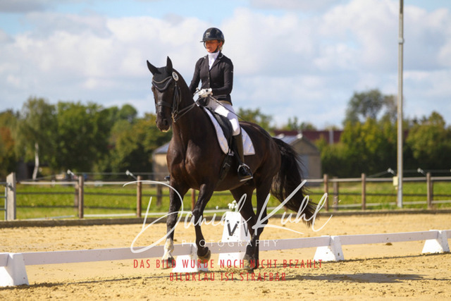 DKP45338 | Turniersportfotografie; Pferdefotografie; Dressurfotografie