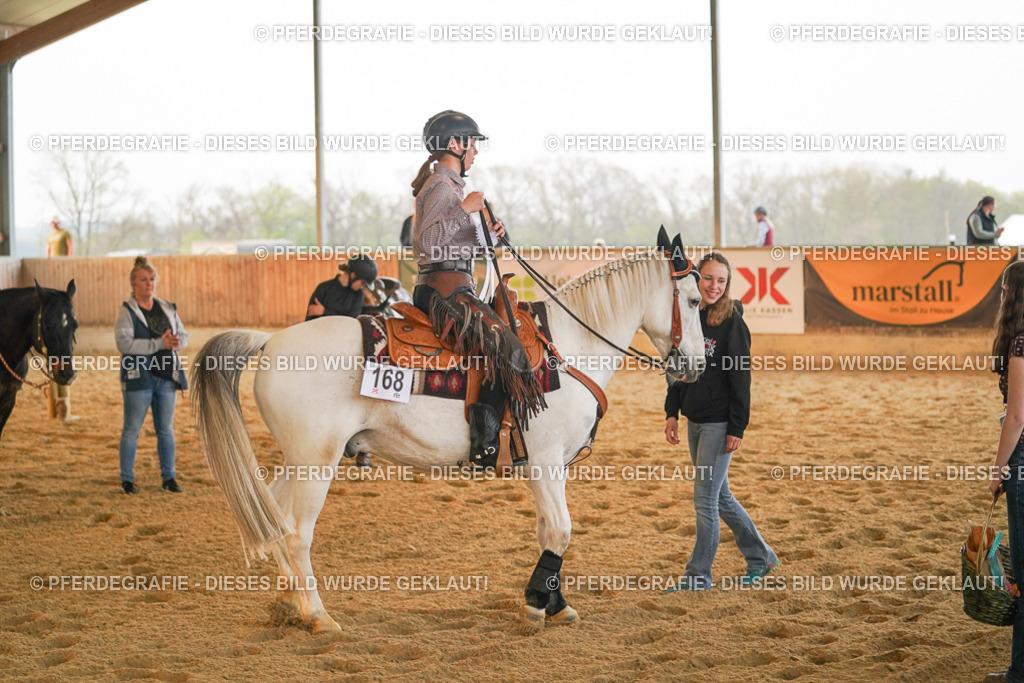 DSC08990 | Pferdegrafie