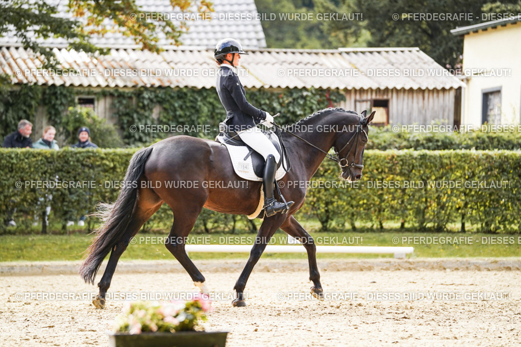 DSC00914 | Pferdegrafie