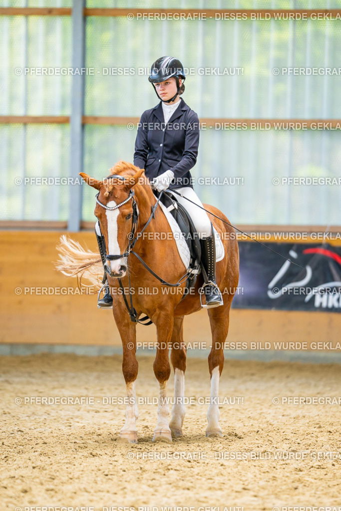 DSC08581 | Pferdegrafie