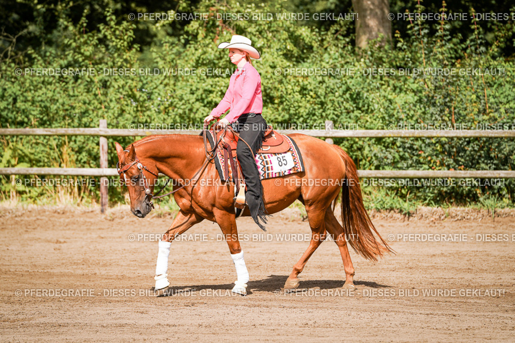 DSC09400 | Pferdegrafie