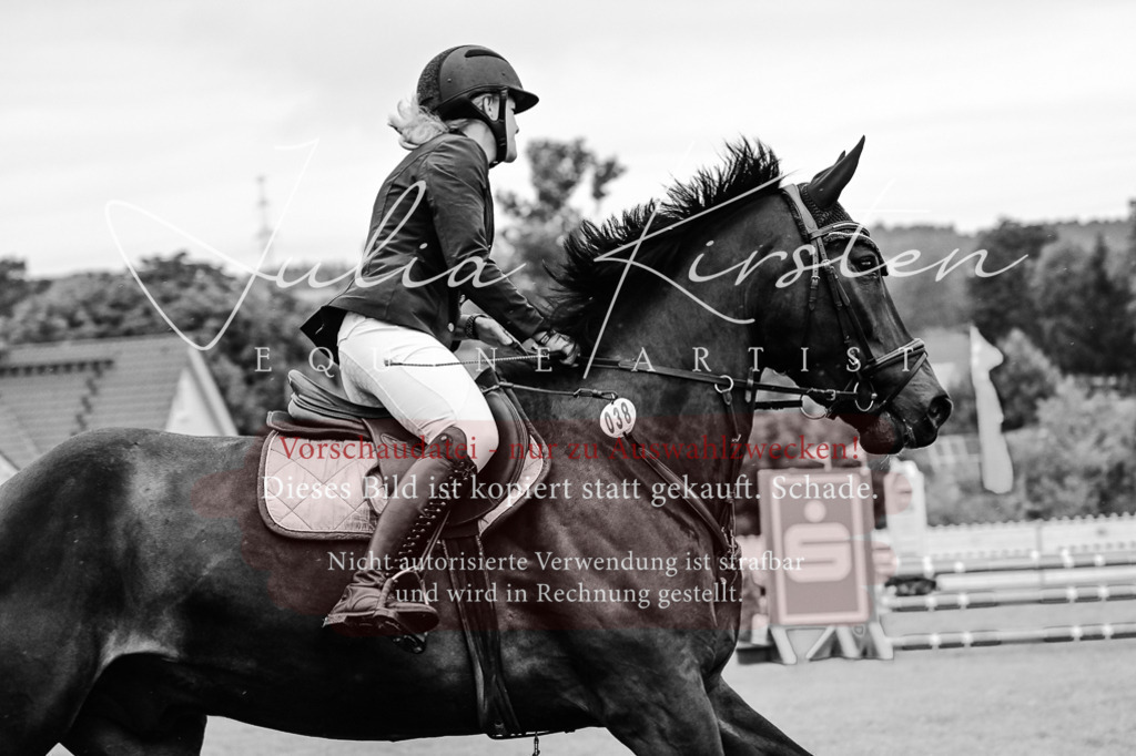 DSC_6296 | Pferde- und Turnierfotografie in Westsachsen. Pferdeportraits, Auftragszeichnungen und intuitive Kunst.