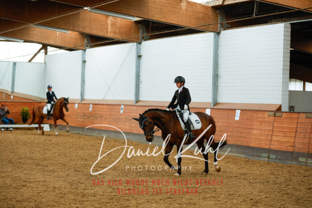 _62_6164 | Turniersportfotografie; Pferdefotografie; Dressurfotografie