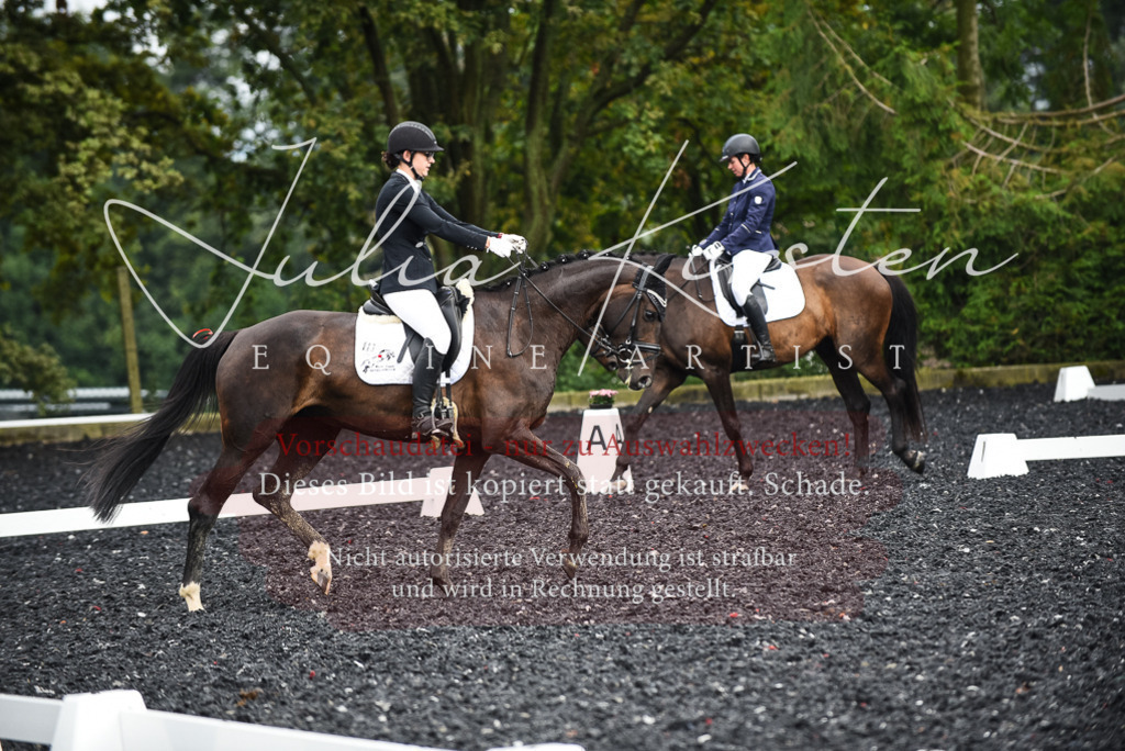 DSC_3002 | Pferde- und Turnierfotografie in Westsachsen. Pferdeportraits, Auftragszeichnungen und intuitive Kunst.