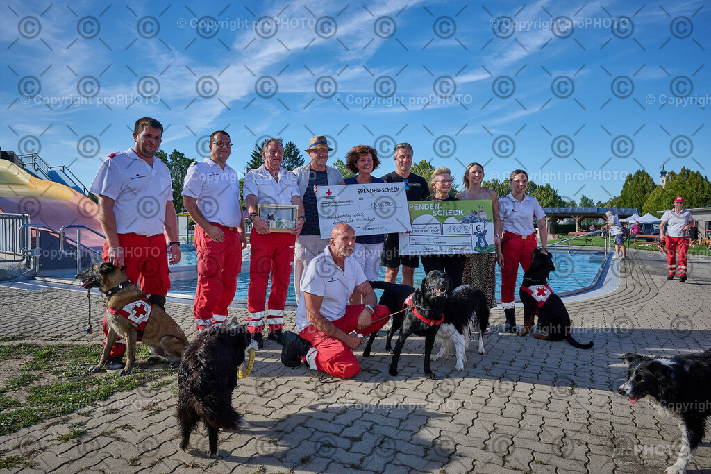 253_202509_4Hundebadetag_NZ9_3032 | proPHOTO - Realisiert mit Pictrs.com