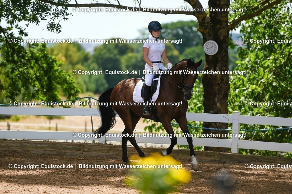20230715_09_Dressur-WB_0153 | equistock