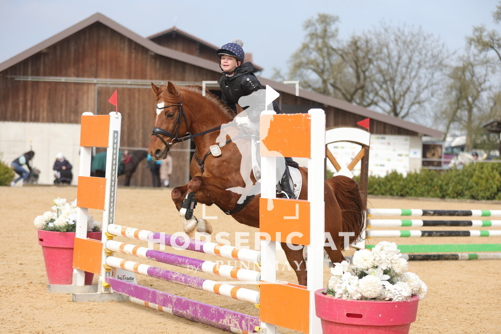 0P6A9236 | Willkommen bei Brunnmayr - Design & Fotografie – Ihrem Spezialisten für Reitturniere und Pferdeveranstaltungen in Oberösterreich, Salzburg und Bayern! Seit über 17 Jahren sind wir leidenschaftlich dabei.