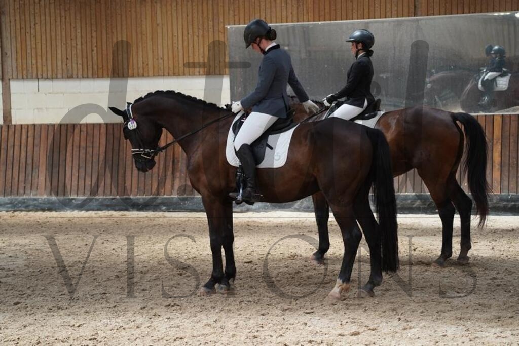 beckingen (439) | d.tail Visions - Shop - Realisiert mit Pictrs.com