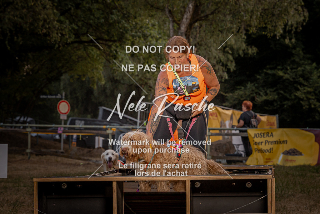 nelerasche_SummerNights26_SaBrücke2030-2100_271 | nelerasche