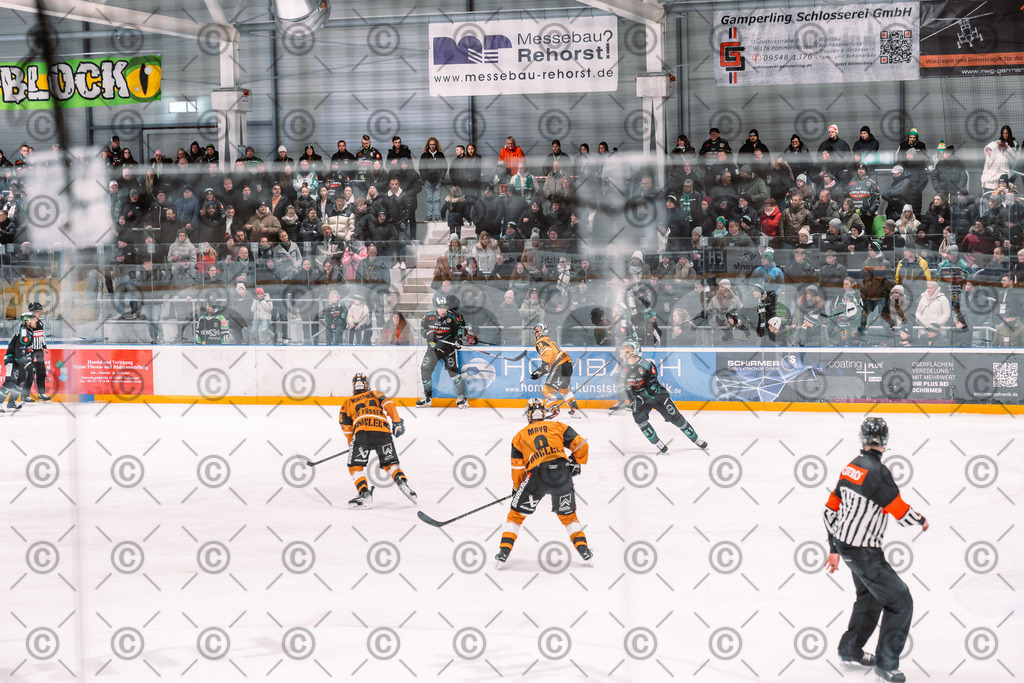 Alligators_vs_Fuessen_21.11.2025-032 | Höchstadt Alligators Fotogalerie: Eishockey-Action aus Franken. Professionelle Spielfotos, Portraits & Stadionbilder zum Download. Jetzt entdecken! - Realisiert mit Pictrs.com
