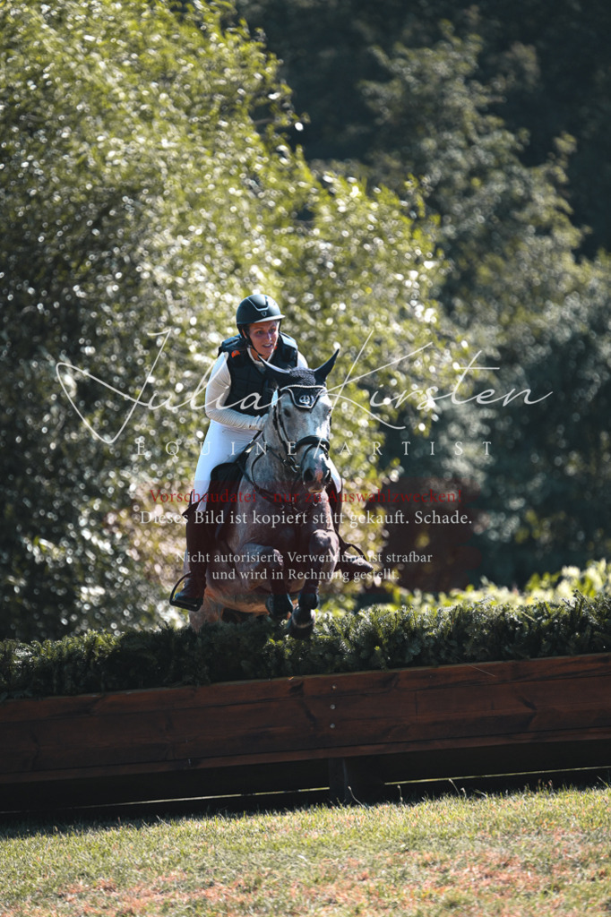 DSC_8200 | Pferde- und Turnierfotografie in Westsachsen. Pferdeportraits, Auftragszeichnungen und intuitive Kunst.
