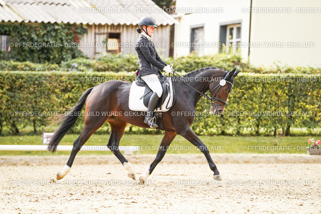 DSC00982 | Pferdegrafie