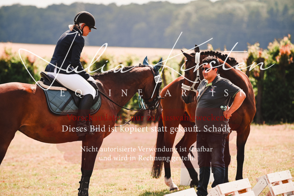 DSC_7168 | Pferde- und Turnierfotografie in Westsachsen. Pferdeportraits, Auftragszeichnungen und intuitive Kunst.