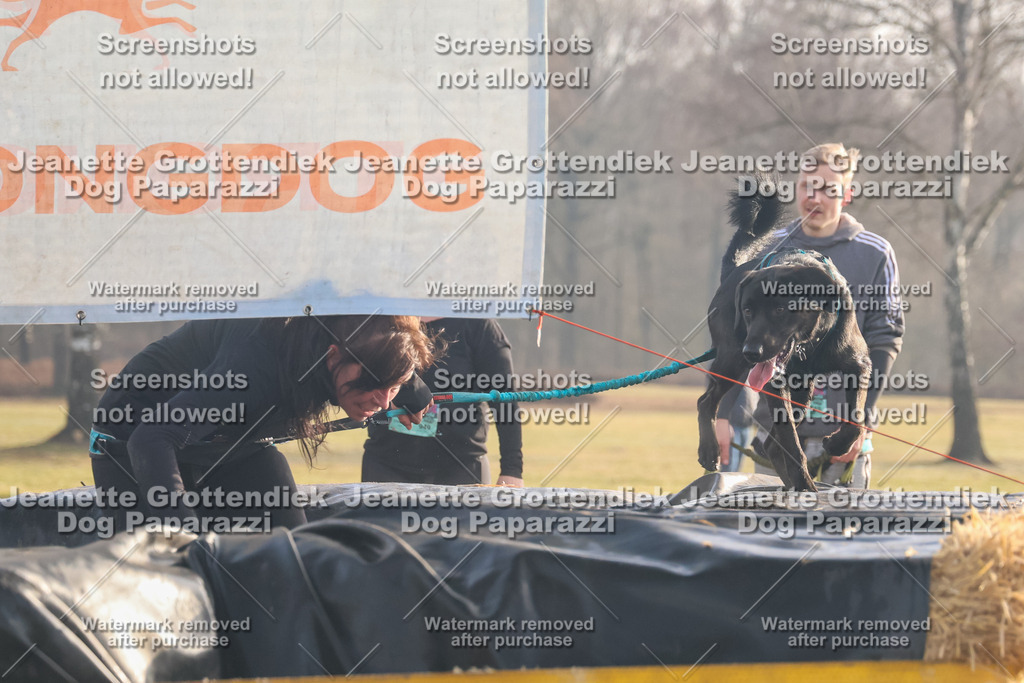 Dog Paparazzi - SD North 0326 900930-227 | Dog Paparazzi Jeanette Grottendiek Fotografie & Videografie - Realisiert mit Pictrs.com