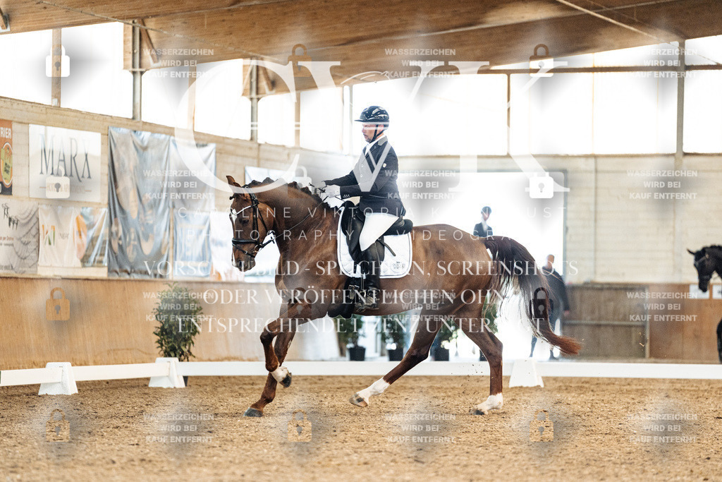 CK909375 | Turnierfotografie Pferdefotografie Trier Rheinland-Pfalz Pferdesport Reitsport Tierfotografie Sportfotografie Pferdevideo Pferdevideografie Equestrianvideography equestrianphotography  - Realisiert mit Pictrs.com