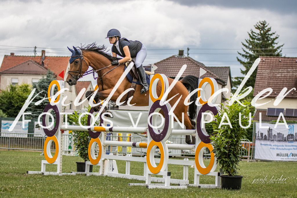 IMG_7615 | Erleben Sie dynamische Sport- und emotionale Tierfotografie in Süddeutschland mit Fotos von Paula. Spezialisiert auf Pferde- und Hundefotografie sowie Sportevents. Kontaktieren Sie mich für einzigartige und ausdrucksstarke Bilder Ihrer besonderen Momente. - Realisiert mit Pictrs.com