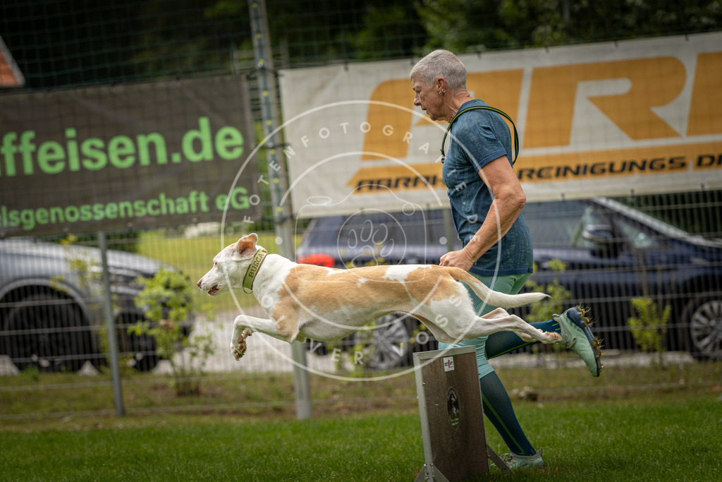 Pfotenfotografie_DV3A8908 | Hundefotografie, Tierfotograf, Pfotenfotografie, Fotoshooting Hund, Hunde Portrait, Hundesport, Hundeportraits, Heideshooting, Hunde, Sportfotograf, Hundefotograf, Turnierhundsport, THS,  - Realisiert mit Pictrs.com
