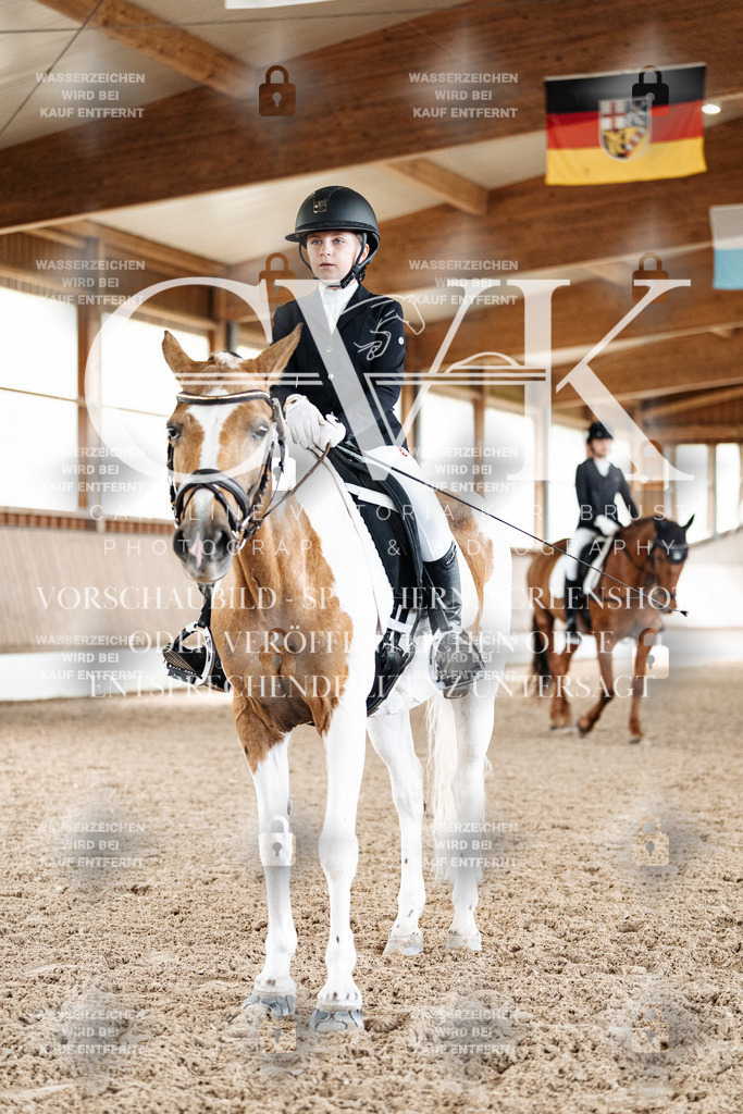 CK900551 | Turnierfotografie Pferdefotografie Trier Rheinland-Pfalz Pferdesport Reitsport Tierfotografie Sportfotografie Pferdevideo Pferdevideografie Equestrianvideography equestrianphotography  - Realisiert mit Pictrs.com