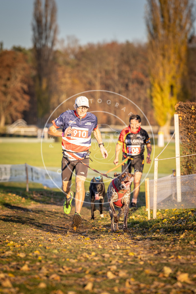 CaniXpix_DV3A4739 | Hundefotografie, Tierfotograf, Pfotenfotografie, Fotoshooting Hund, Hunde Portrait, Hundesport, Hundeportraits, Heideshooting, Hunde, Sportfotograf, Hundefotograf, Turnierhundsport, THS,  - Realisiert mit Pictrs.com