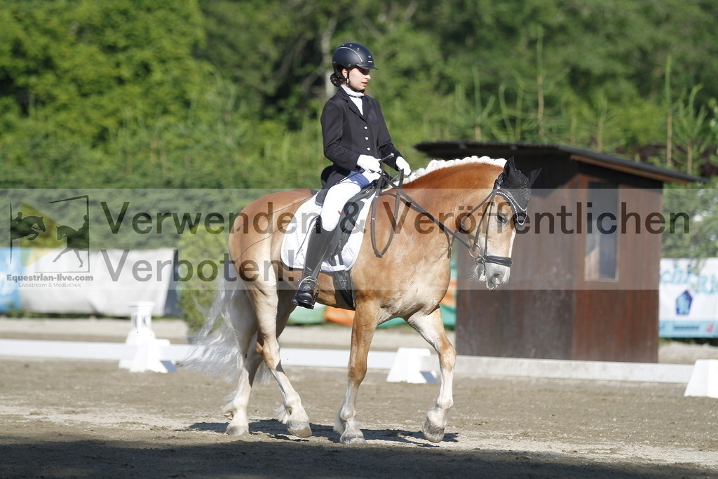 _MG_0485 | equestrian-live-com