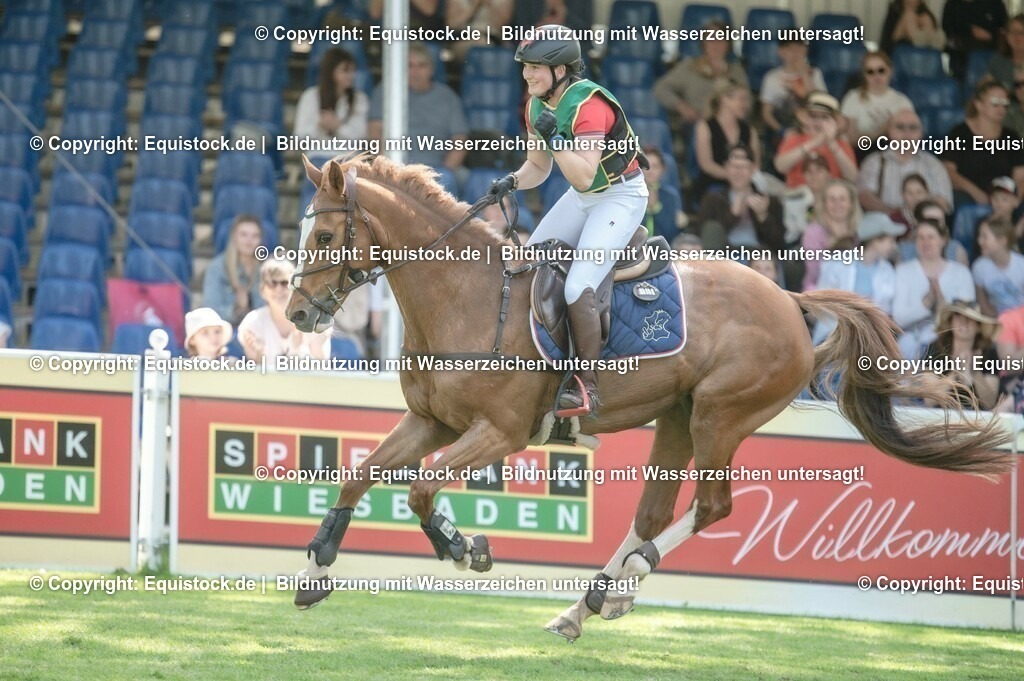 20230527_27_CCI4_Gelände_0325 | equistock