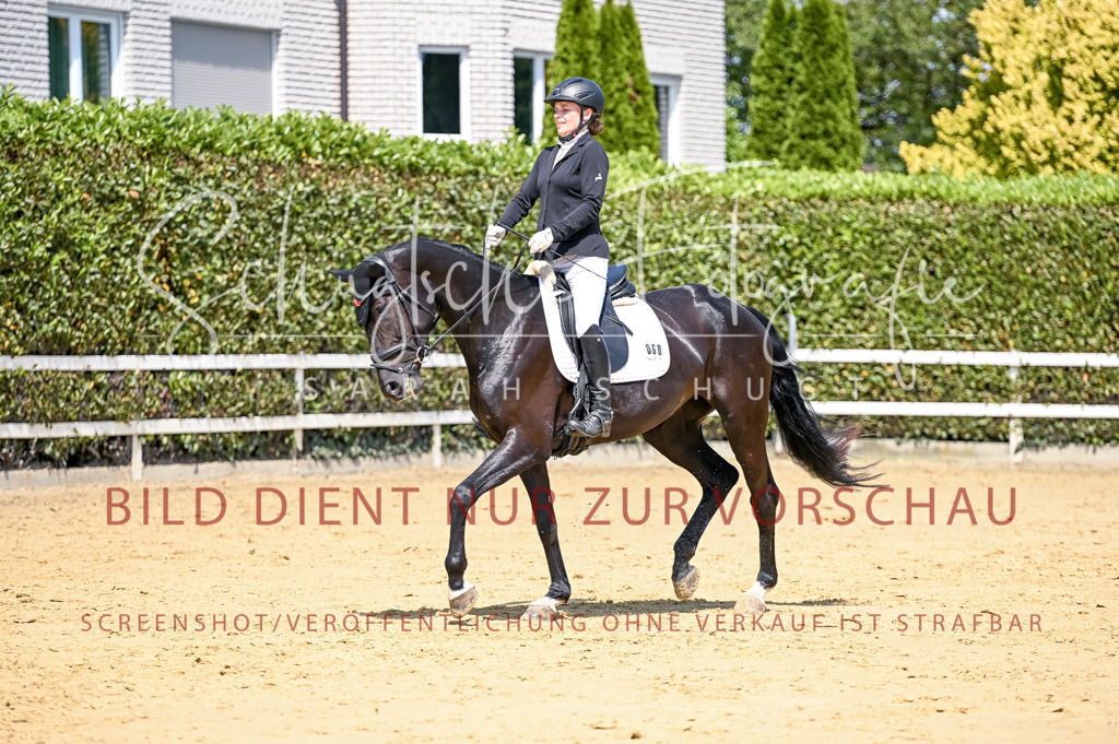 Schugtsche-Aluta25-49.Dressurpferdeprf.A-226 | Schugtsche Fotografie - Realisiert mit Pictrs.com