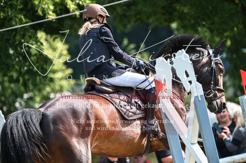 DSC_7977 | Pferde- und Turnierfotografie in Westsachsen. Pferdeportraits, Auftragszeichnungen und intuitive Kunst.
