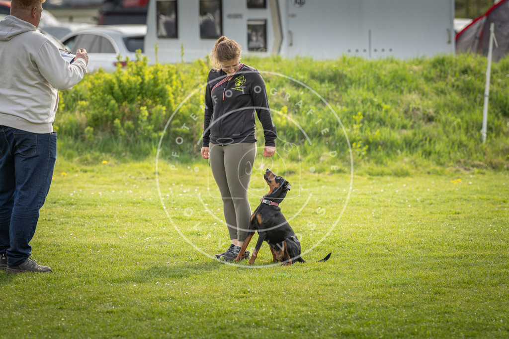 Pfotenfotografie_DV3A5002 | Hundefotografie, Tierfotograf, Pfotenfotografie, Fotoshooting Hund, Hunde Portrait, Hundesport, Hundeportraits, Heideshooting, Hunde, Sportfotograf, Hundefotograf, Turnierhundsport, THS,  - Realisiert mit Pictrs.com