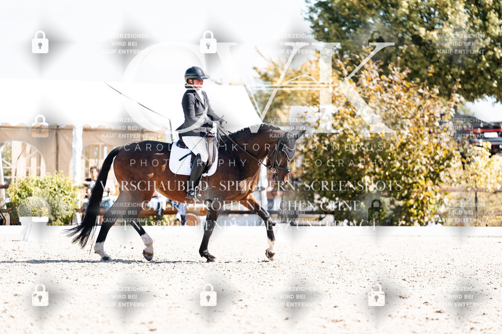 CK903476 | Turnierfotografie Pferdefotografie Trier Rheinland-Pfalz Pferdesport Reitsport Tierfotografie Sportfotografie Pferdevideo Pferdevideografie Equestrianvideography equestrianphotography  - Realisiert mit Pictrs.com