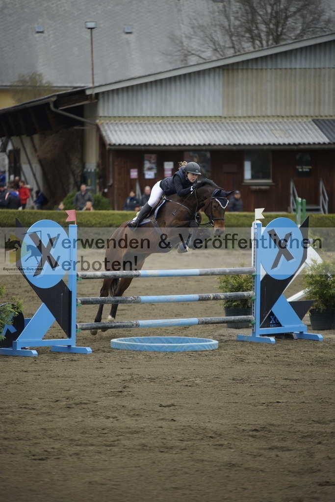 _DSC7215 | equestrian-live-com