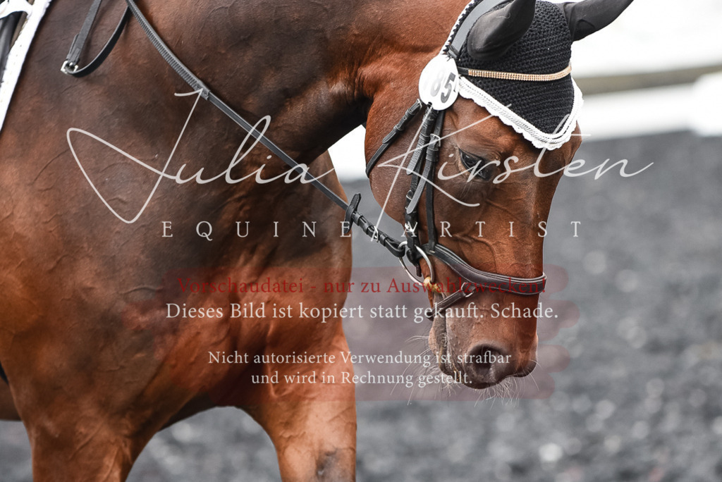 DSC_2717 | Pferde- und Turnierfotografie in Westsachsen. Pferdeportraits, Auftragszeichnungen und intuitive Kunst.