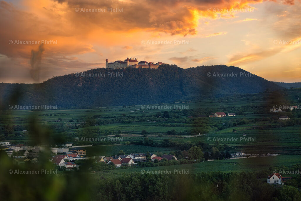 foto_c_pfeffel-partner-0040-R51_5121-Bearbeitet | alexander-pfeffel - Realisiert mit Pictrs.com