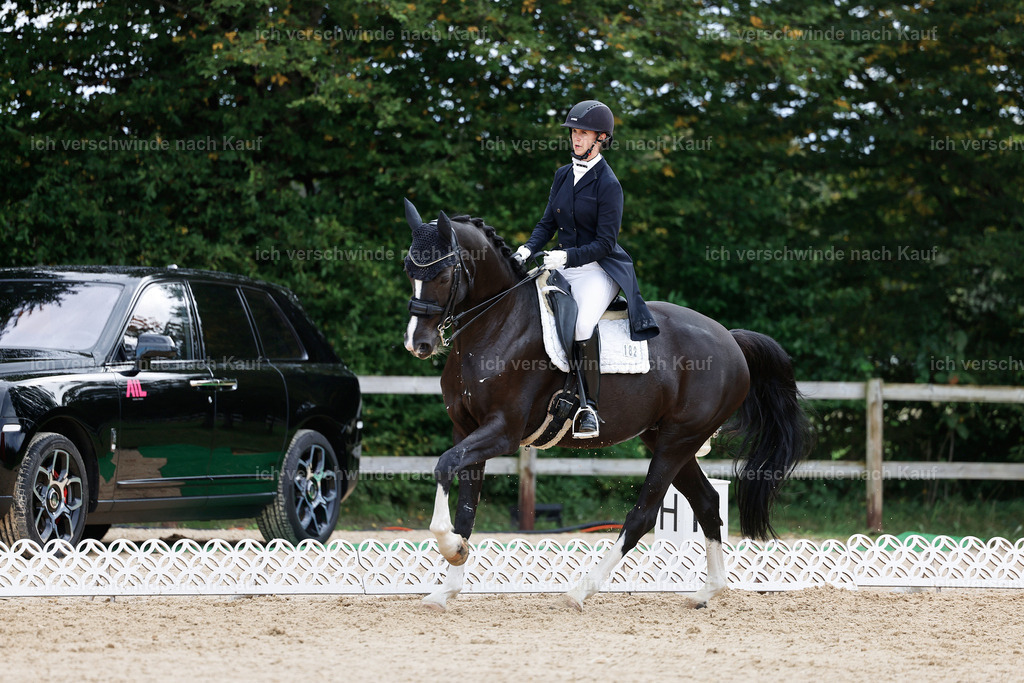 6-182-AMATUER-DRESSUR S_  -StoibPH-3505 | working equitationturnier fotograf videograf stoibphotography marixx film working equitation deutschland reitsport turnierfotografie eventfotografie equestrian events