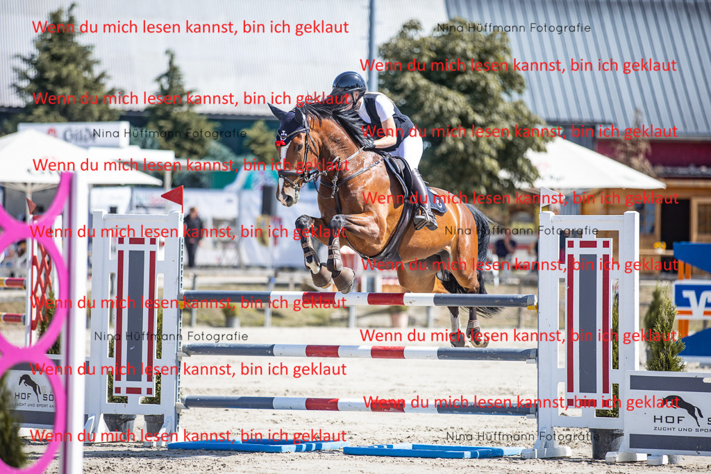 BK1A6647 | Turnierbilder Turnierfotos Nina Hüffmann Turnierfotografie Pferdefotografie Tierzeichnung Haustierzeichnung Pferdezeichnung Hundezeichnung Videograf  - Realisiert mit Pictrs.com