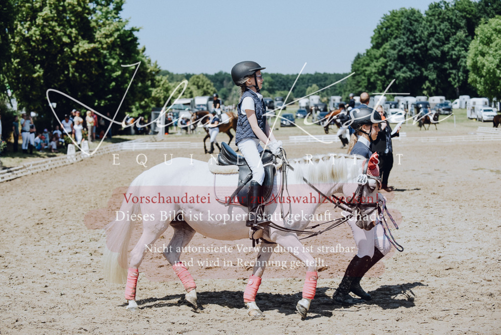 DSC_2471 | Pferde- und Turnierfotografie in Westsachsen. Pferdeportraits, Auftragszeichnungen und intuitive Kunst.