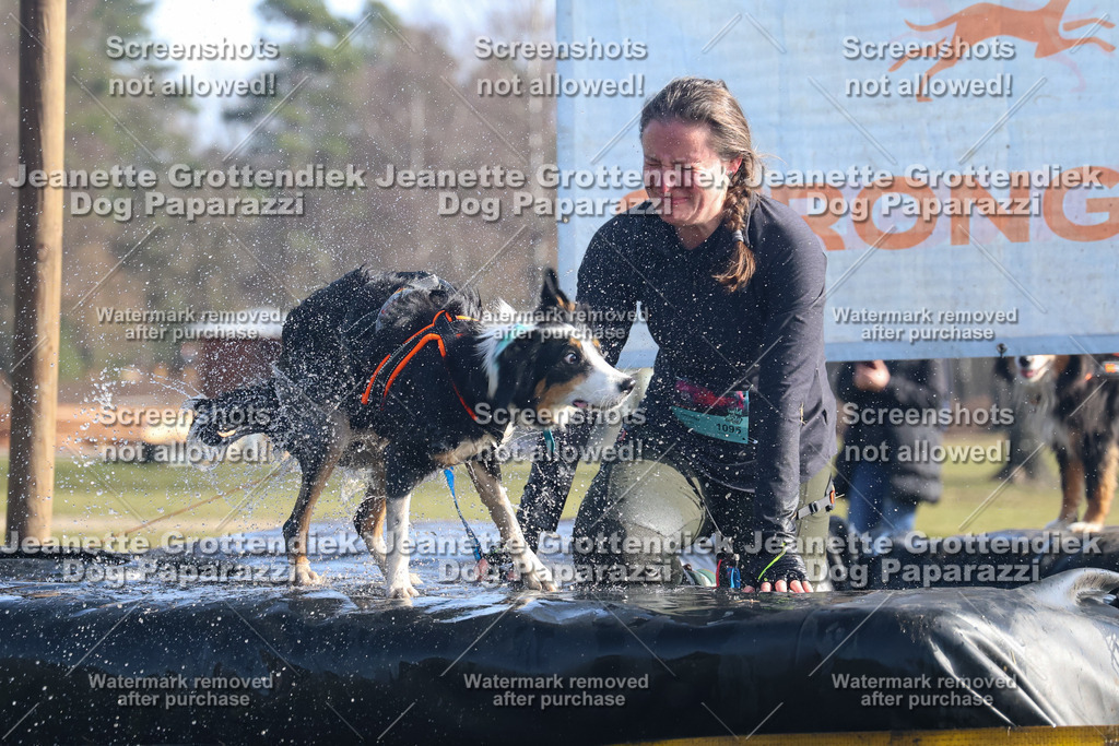 Dog Paparazzi - Strongdog North Mrz26-1154 | Dog Paparazzi Jeanette Grottendiek Fotografie & Videografie - Realisiert mit Pictrs.com