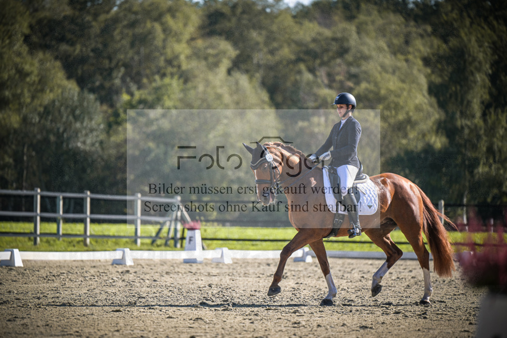 DOS_2652 | Entdecke hochwertige Reitturnierfotos von Foto Oger. Professionell, emotional und authentisch – jetzt Lieblingsmomente im Shop bestellen.Deutschlandweite Turnierfotografie. - Realisiert mit Pictrs.com