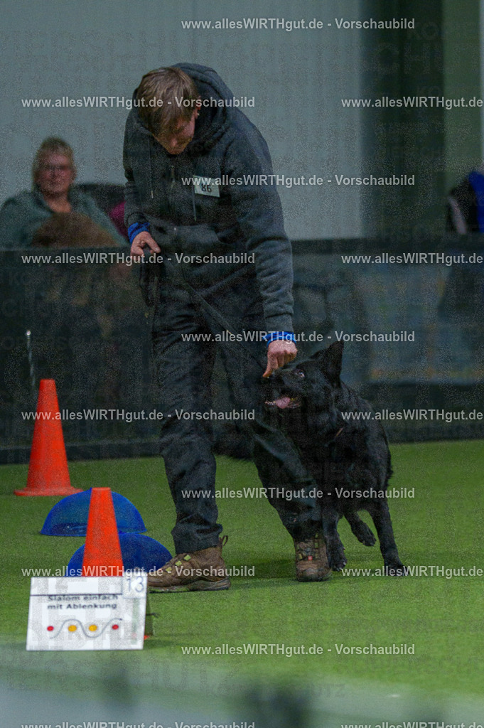 7R508078 | Professionelle Tierfotografie in Mönchengladbach von Daniel Wirth (allesWIRTHgut). Liebevolle & natürliche Bilder von Hunden & Katzen für unvergessliche Erinnerungen.